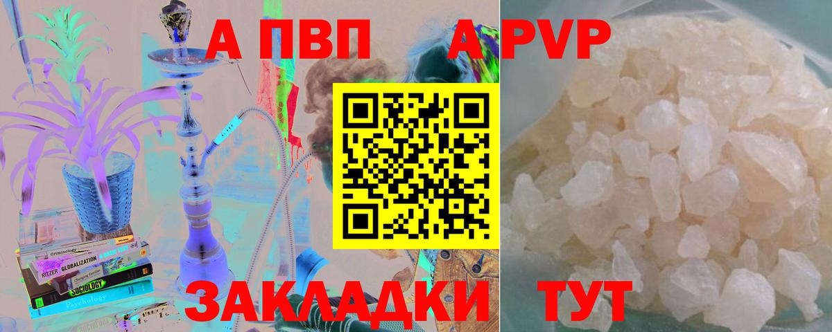 A PVP крисы CK Великий Новгород