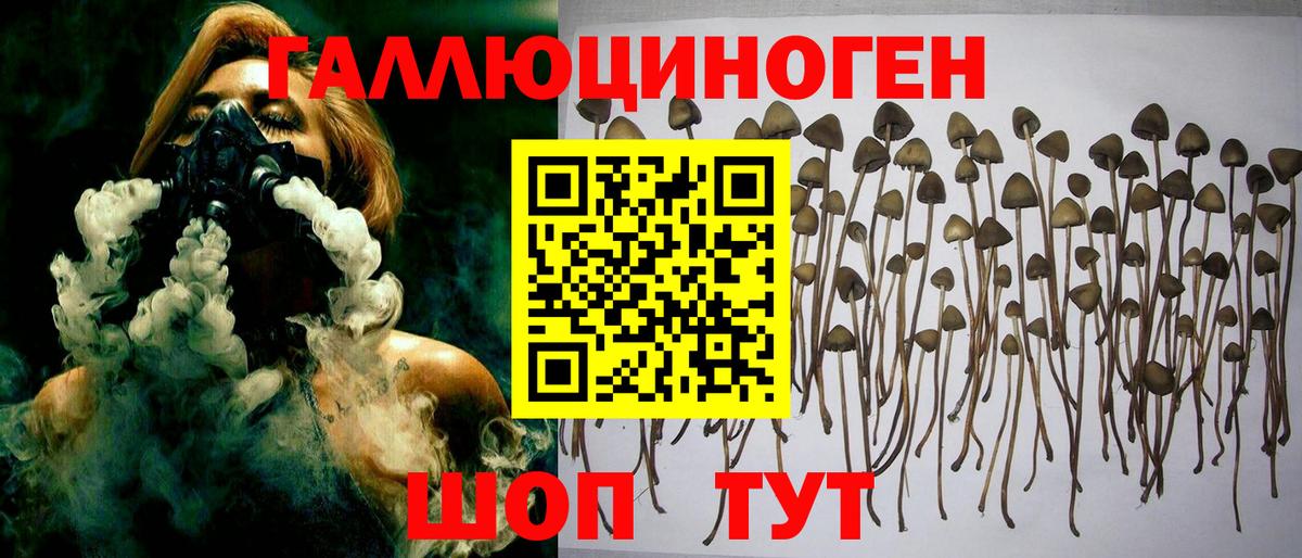 Галлюциногенные грибы Psilocybe  Вход с VPN  Великий Новгород  где можно купить   Псилоцибиновые грибы MAGIC MUSHROOMS 